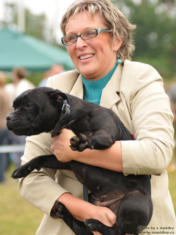 Eilatan - staffordshire bull terrier kennel